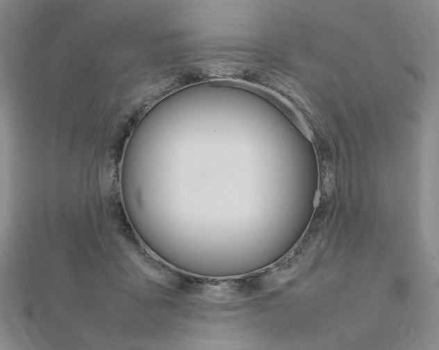 X0000112010411200908031025