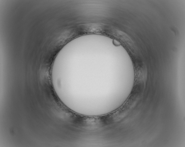X0000112010415200908031025