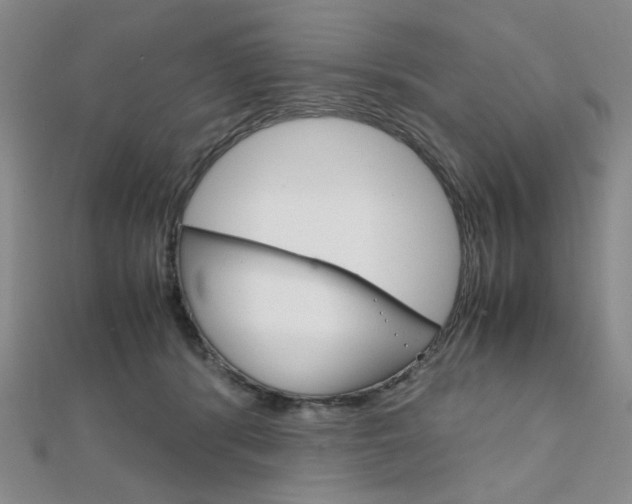 X0000112010416200908031025