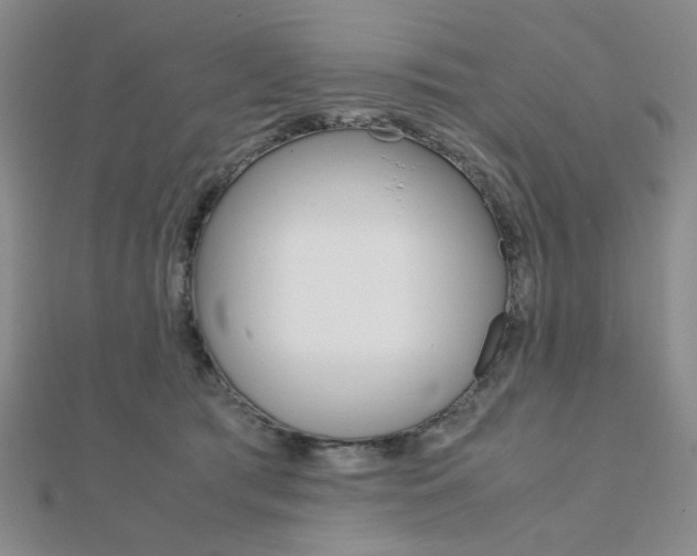 X0000112010417200908031025