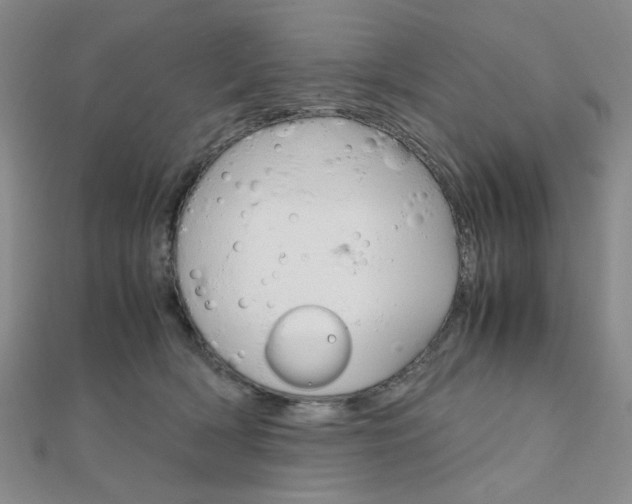 X0000112010418200908031025