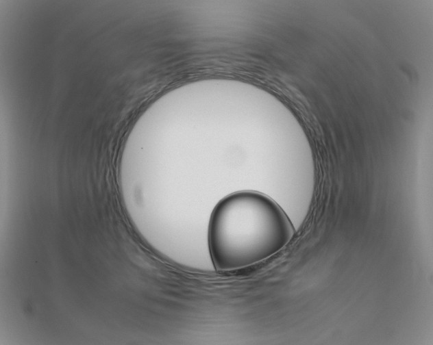 X0000112010419200908031025