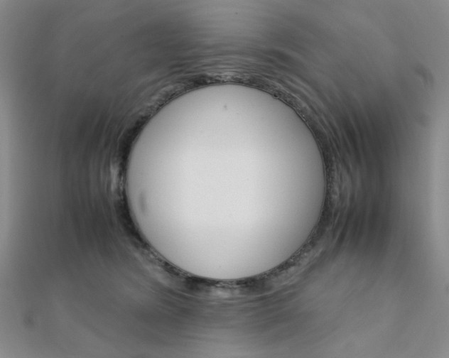 X0000112010420200908031025
