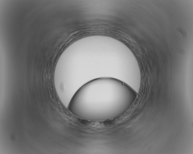 X0000112010421200908031025