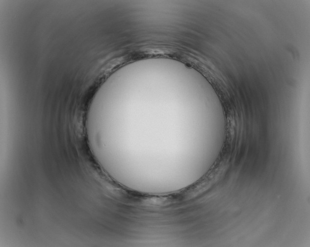 X0000112010422200908031025