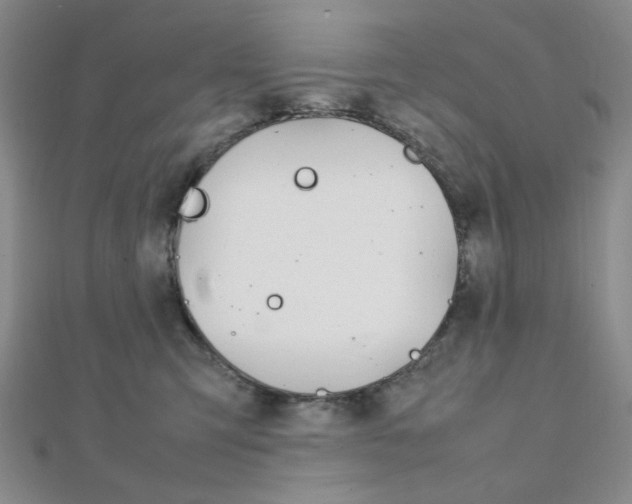 X0000112010423200908031025