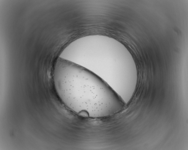 X0000112010424200908031025