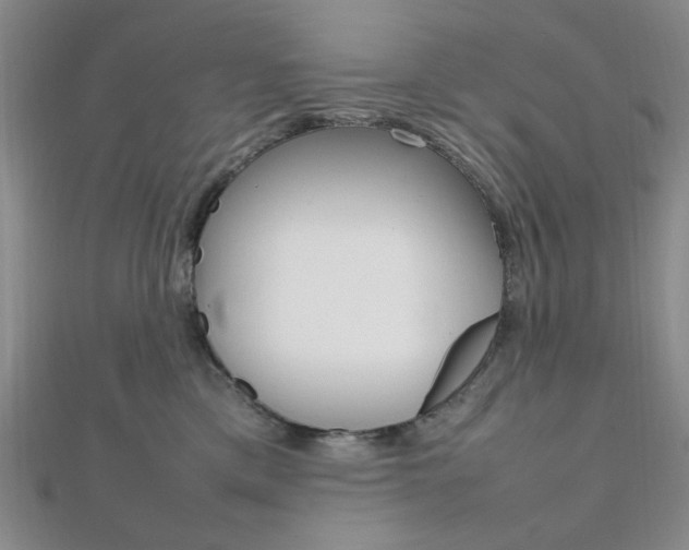 X0000112010425200908031025