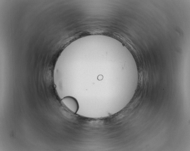 X0000112010426200908031025