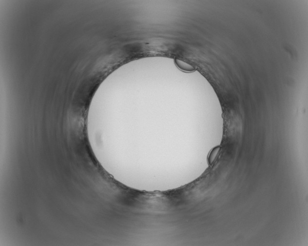 X0000112010427200908031025
