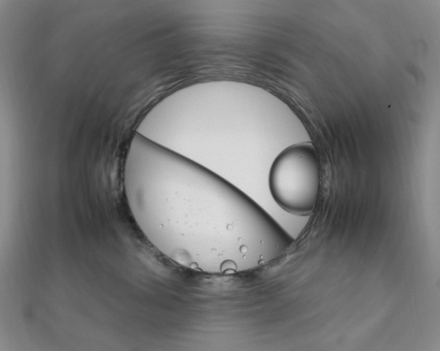 X0000112010428200908031025