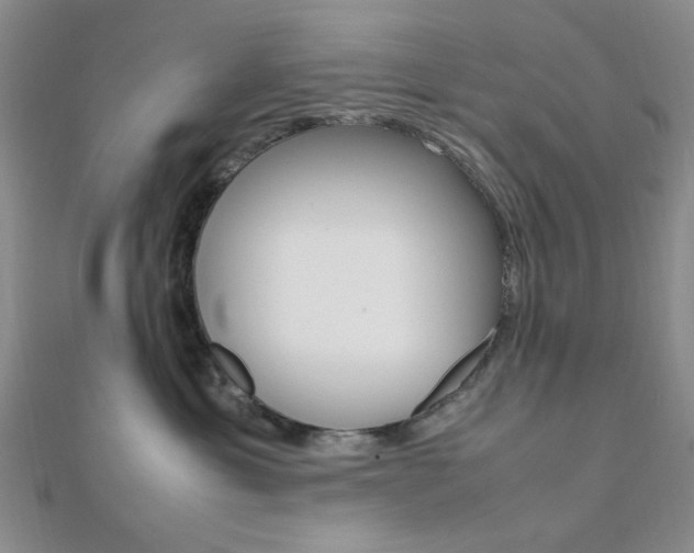 X0000112010429200908031025