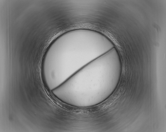 X0000112010434200908031024