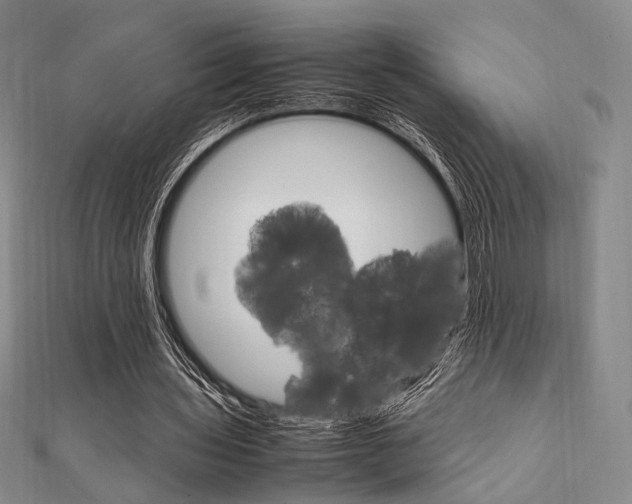X0000112010435200908031024