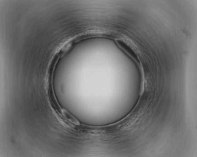 X0000112010436200908031024