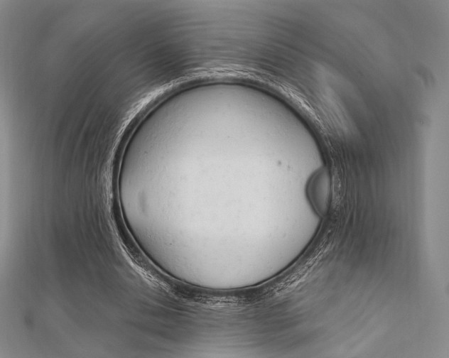 X0000112010438200908031024
