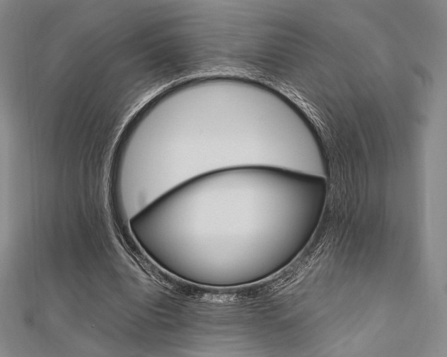 X0000112010440200908031024
