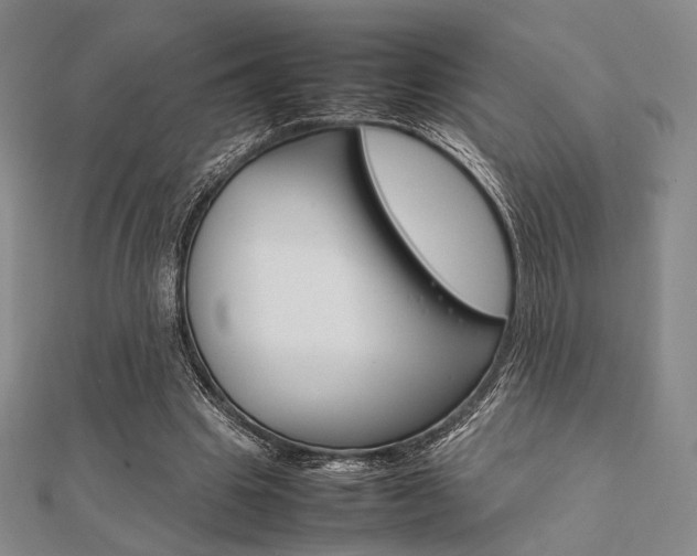 X0000112010441200908031024