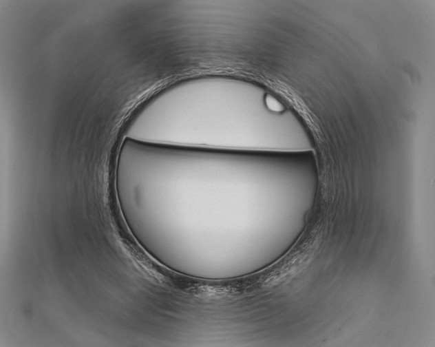 X0000112010442200908031024