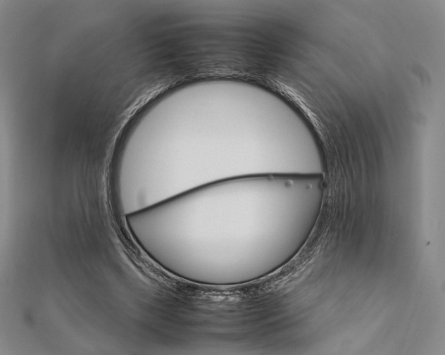 X0000112010443200908031024