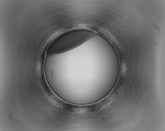 X0000112010444200908031024