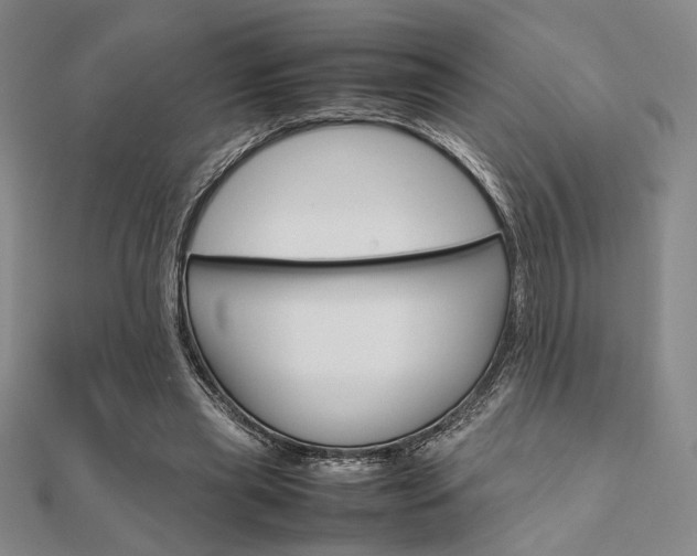 X0000112010445200908031024