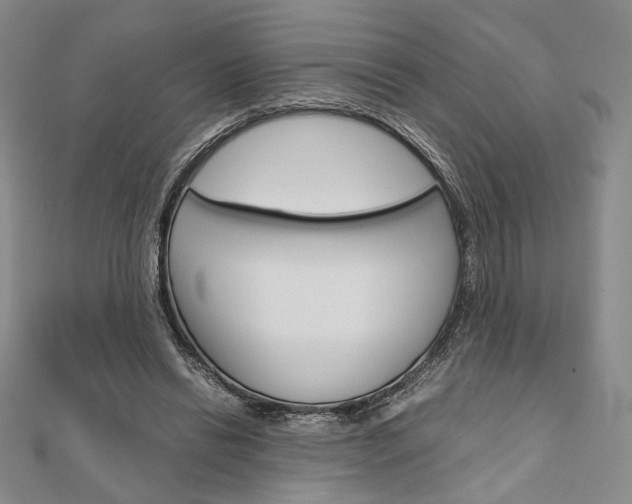 X0000112010446200908031024