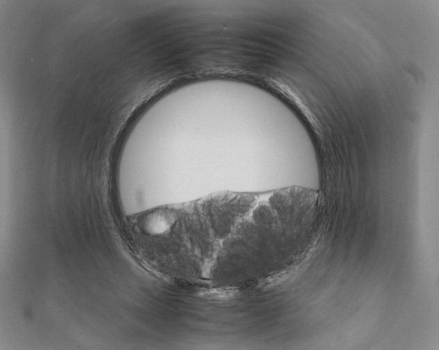 X0000112010447200908031024