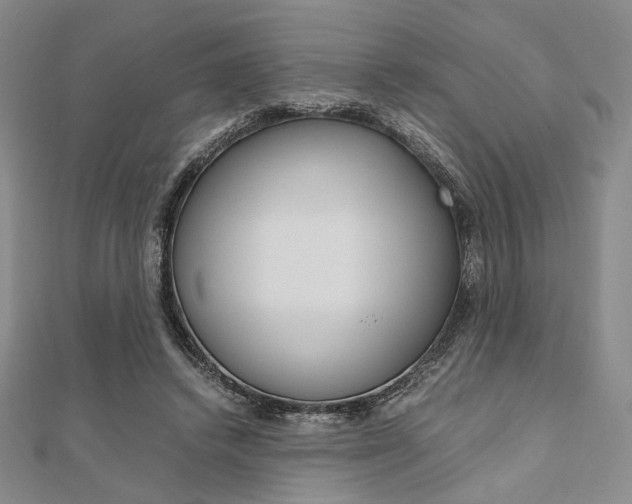 X0000112010448200908031024