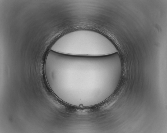 X0000112010450200908031024