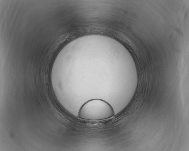 X0000112010452200908031024