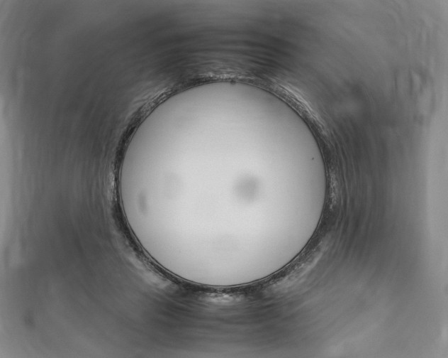 X0000112010453200908031024