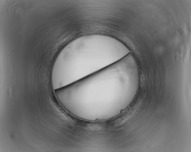X0000112010454200908031024