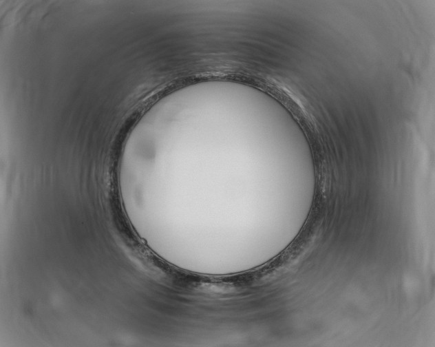 X0000112010455200908031024