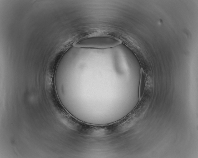 X0000112010456200908031025