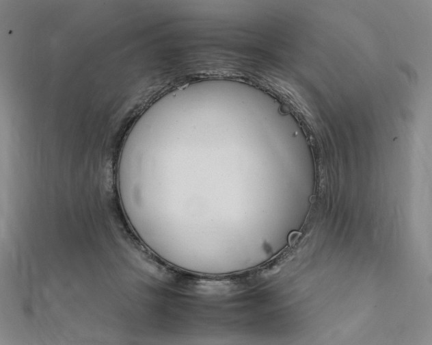 X0000112010457200908031025