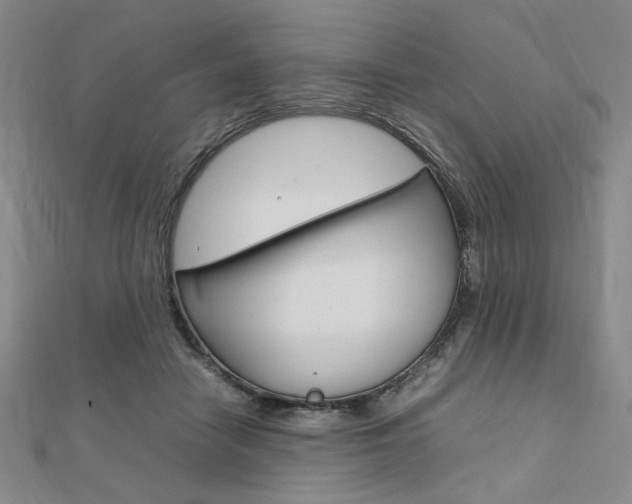 X0000112010458200908031025