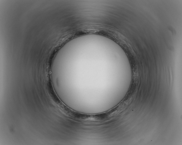 X0000112010460200908031025