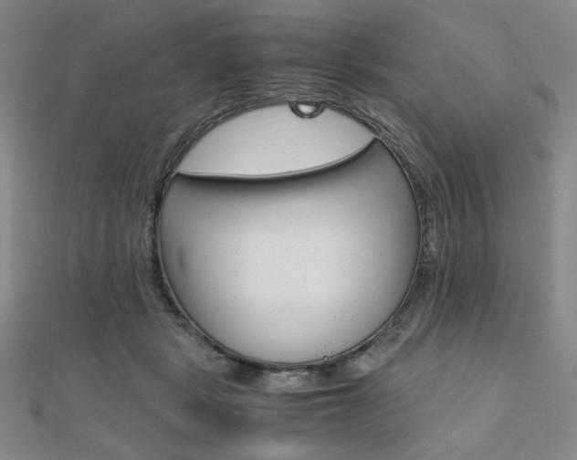 X0000112010461200908031025