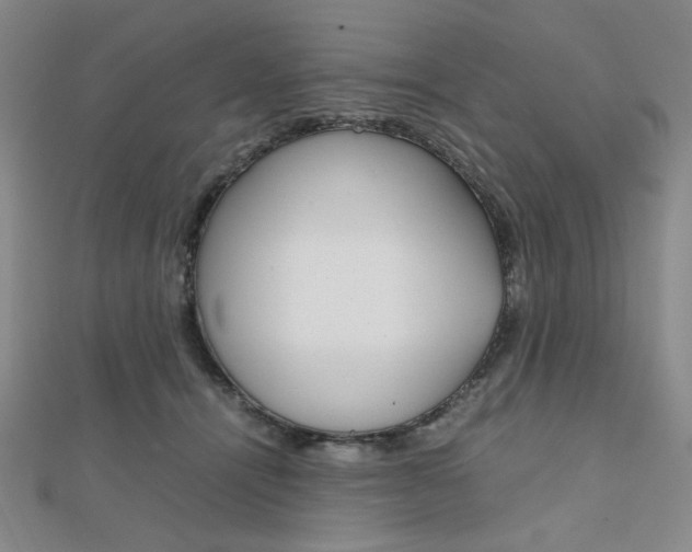 X0000112010464200908031025