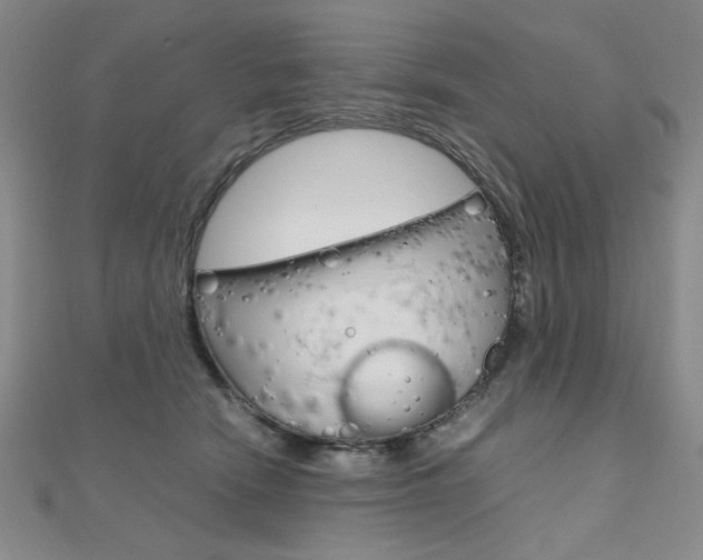 X0000112010466200908031025