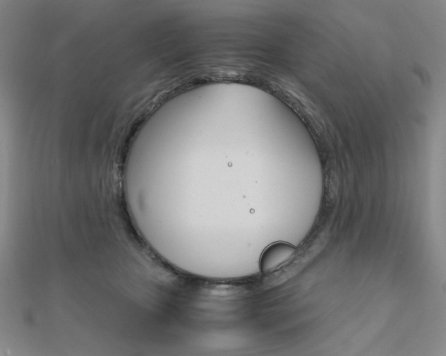 X0000112010467200908031025