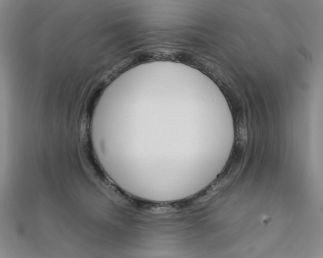 X0000112010468200908031025