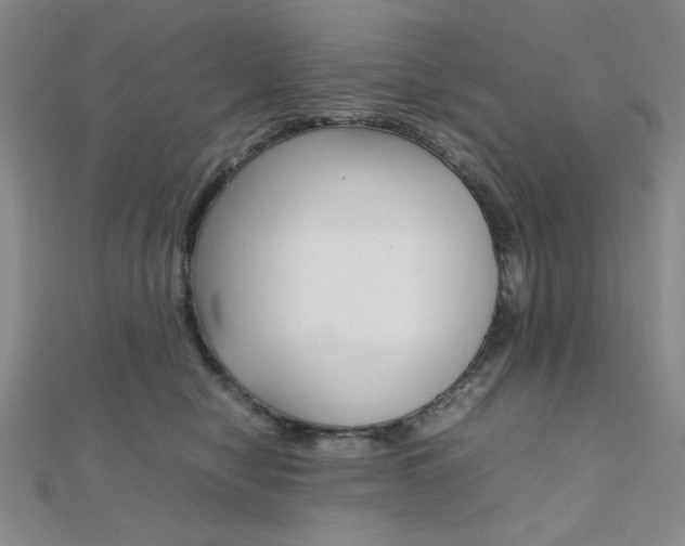 X0000112010470200908031025