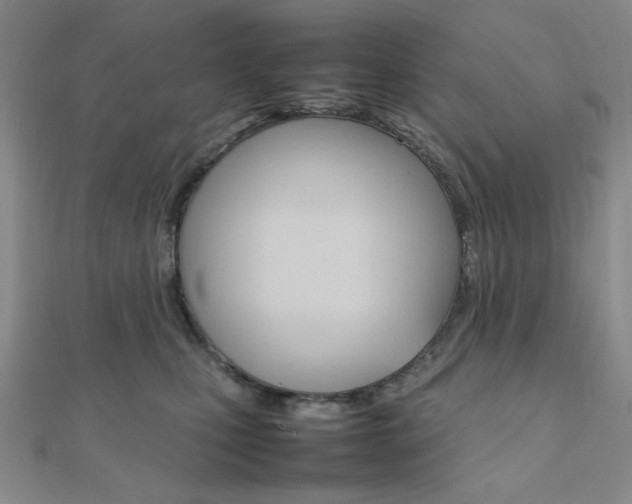 X0000112010471200908031025