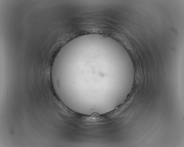 X0000112010473200908031025