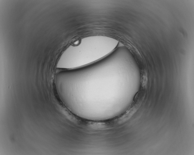 X0000112010476200908031025