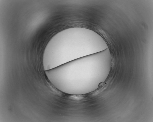 X0000112010477200908031025
