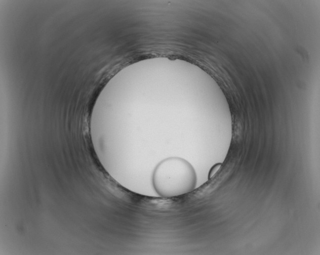 X0000112010478200908031025