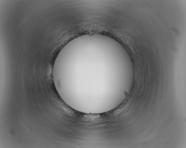 X0000112010480200908031025